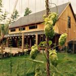 Hop Lot Brewing Co.