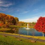 Meadowlark Botanical Gardens