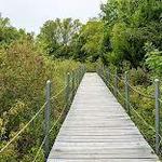 Heard Natural Science Museum & Wildlife Sanctuary
