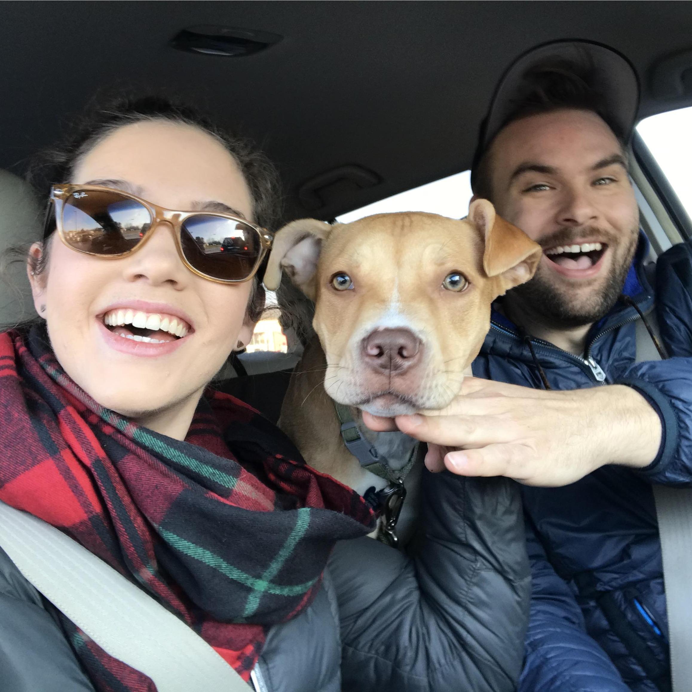 Santa brought Quill to Liz in Michigan, Xmas of 2018. Moments before Quill's first puppuccino on the ride back to Knoxville!