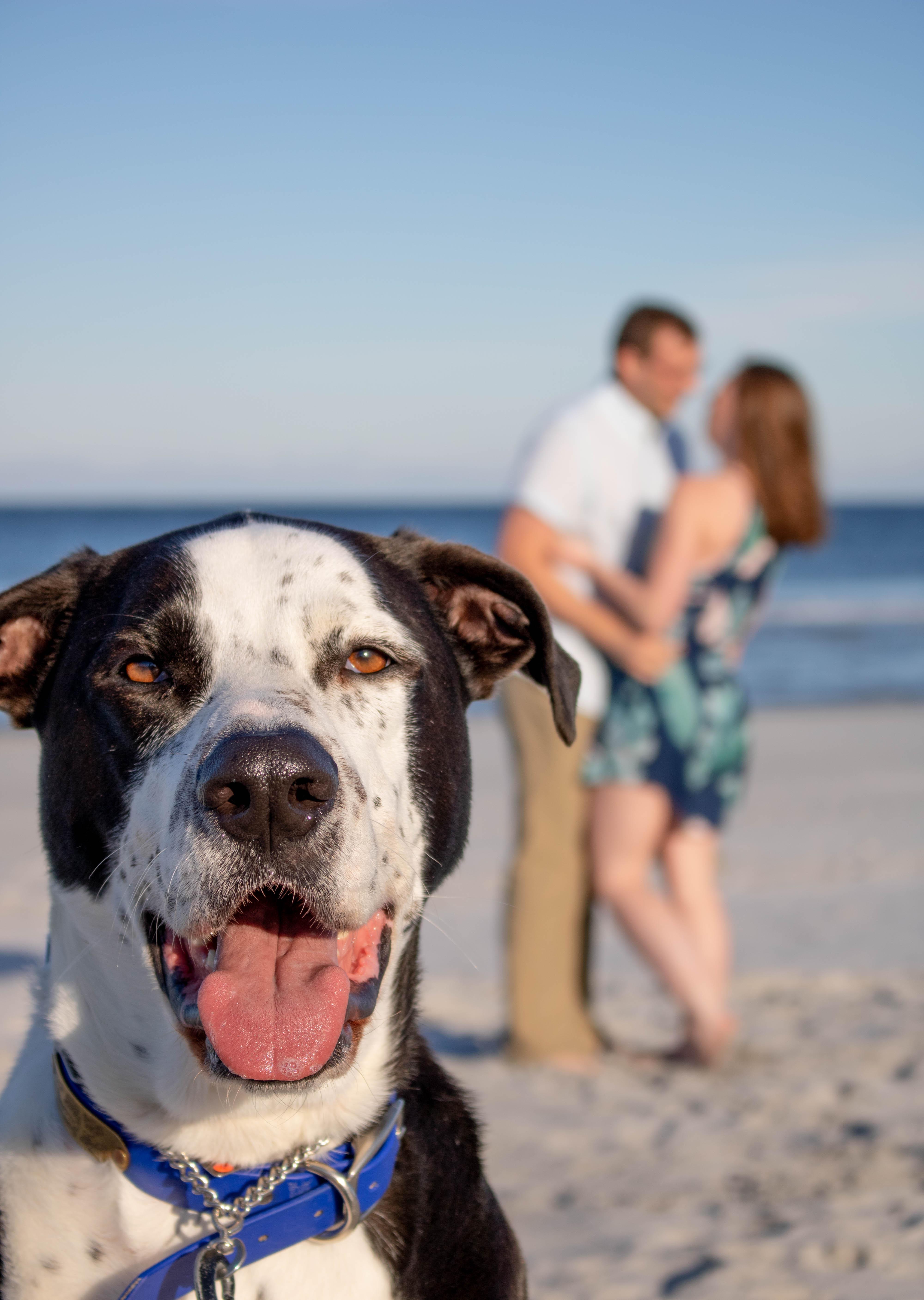The Wedding Website of Christine Schaefer and Joseph Meade