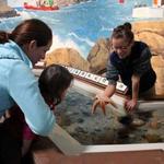 Maine State Aquarium