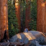 Kings Canyon National Park