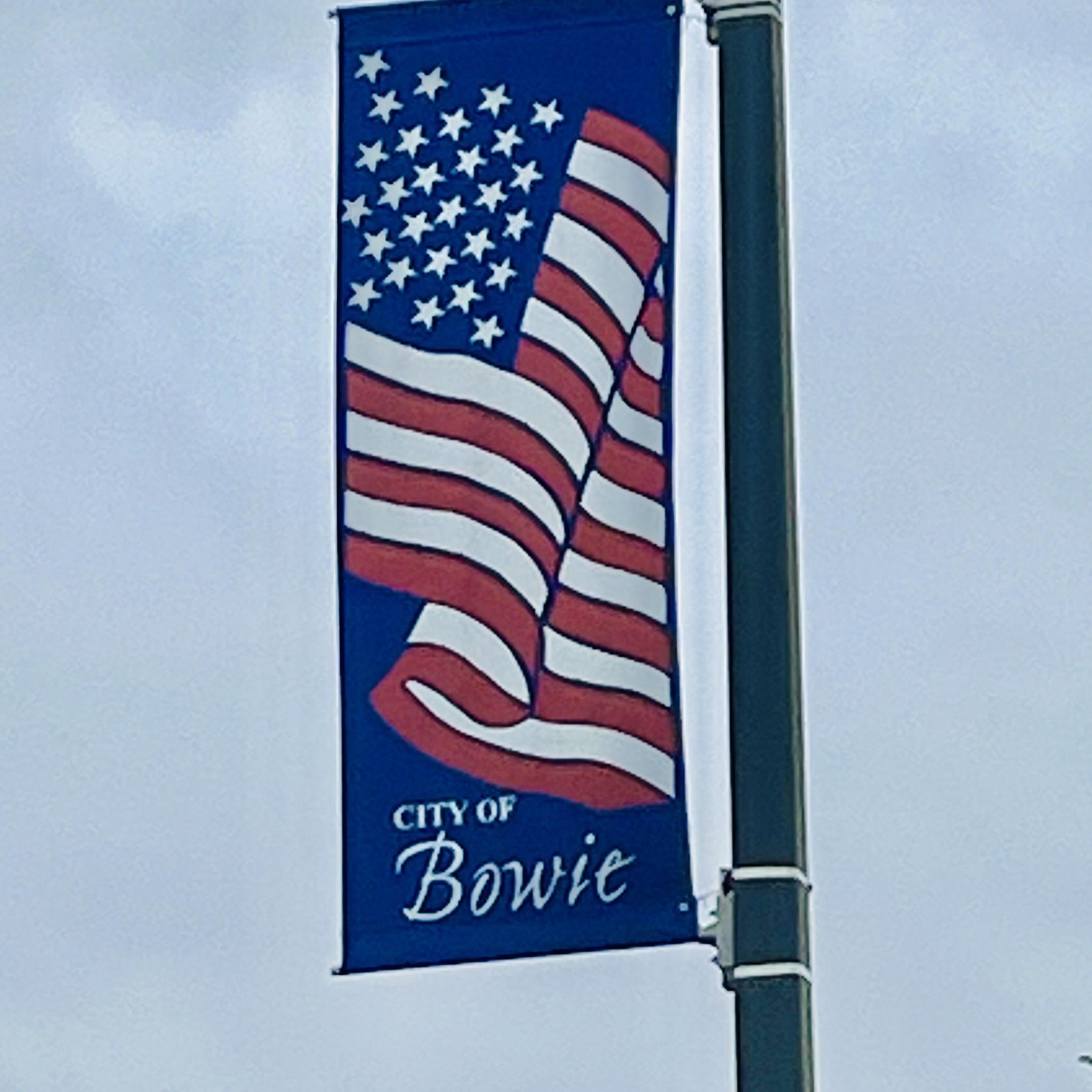 Move Back to Bowie Fund