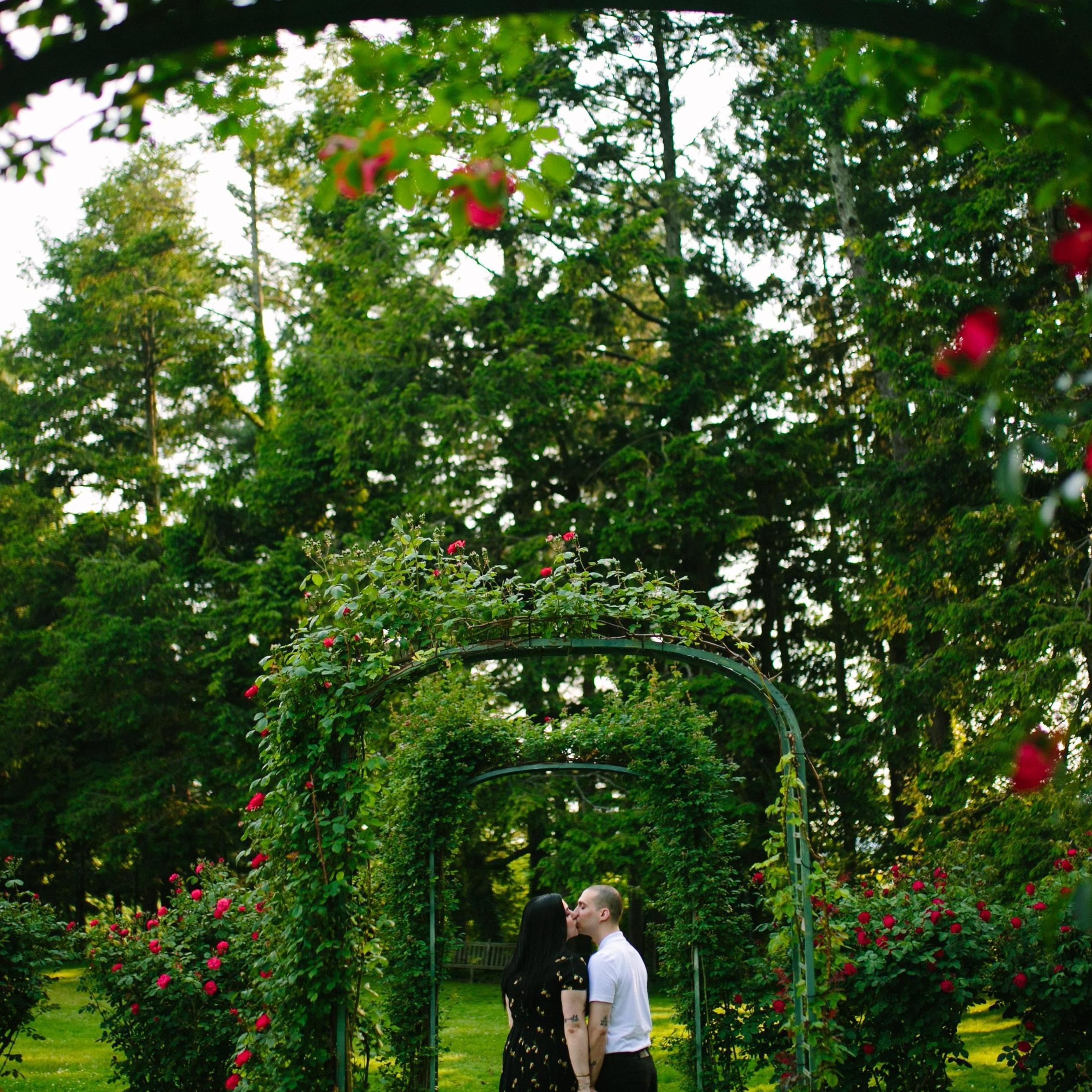 Lyndhurst Mansion rose garden in Tarrytown NY <3
photo credit: the masterful Jia, at www.frameyourlove.com