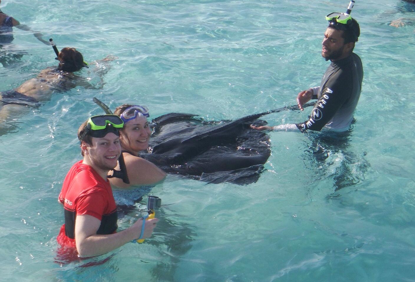 Stingray Island in the Cayman Islands!