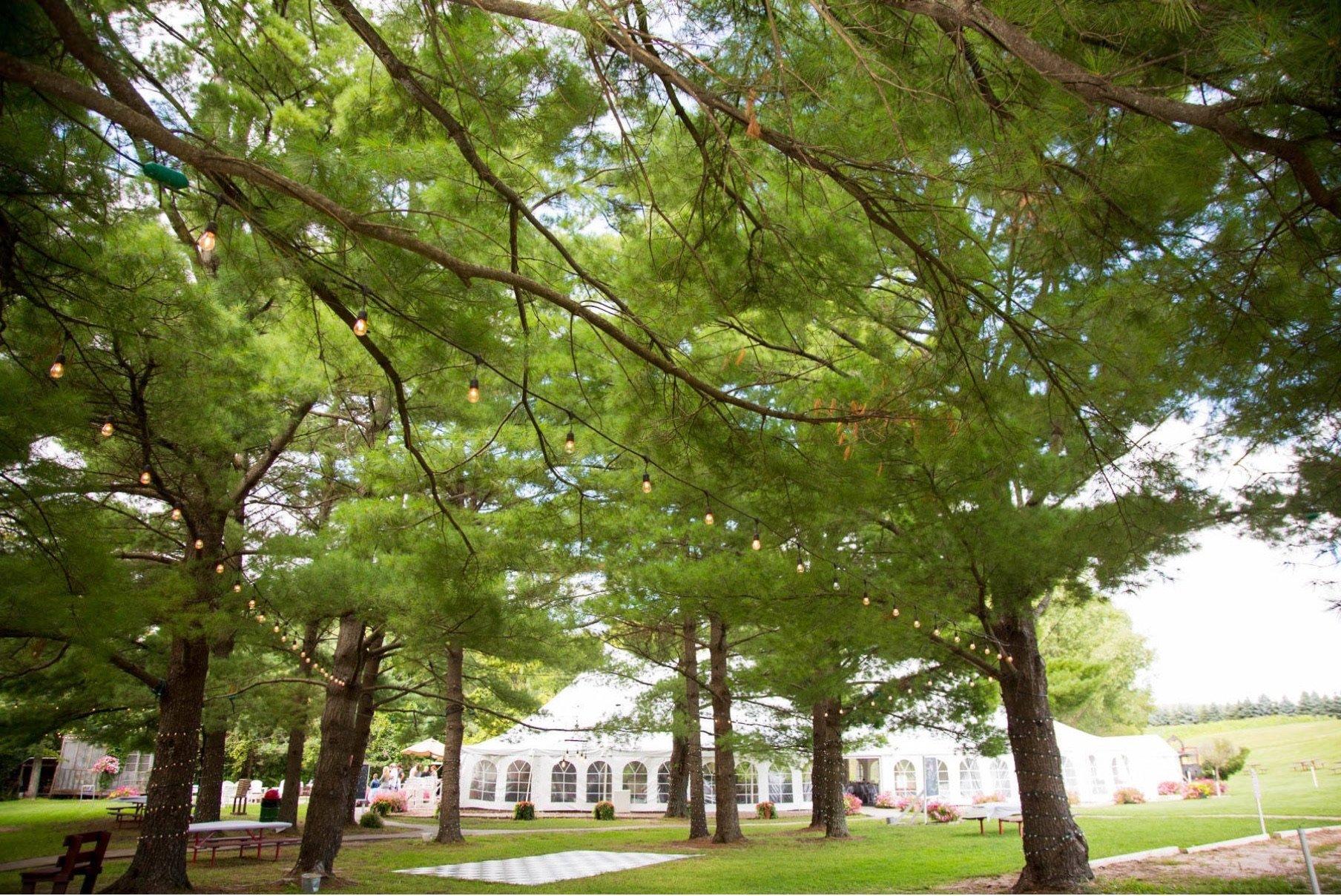 The Wedding Website of Abby Haefner and Justin Westad