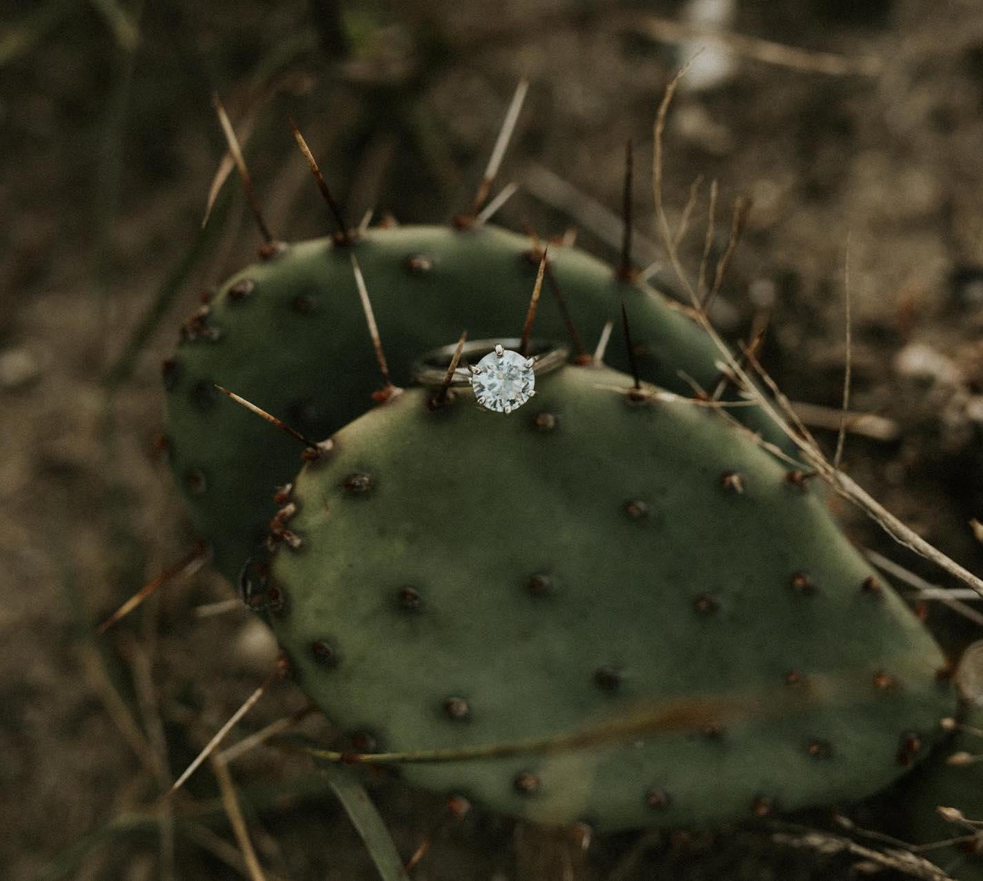 The Wedding Website of Ali McPherson and Mitchel Gonzalez