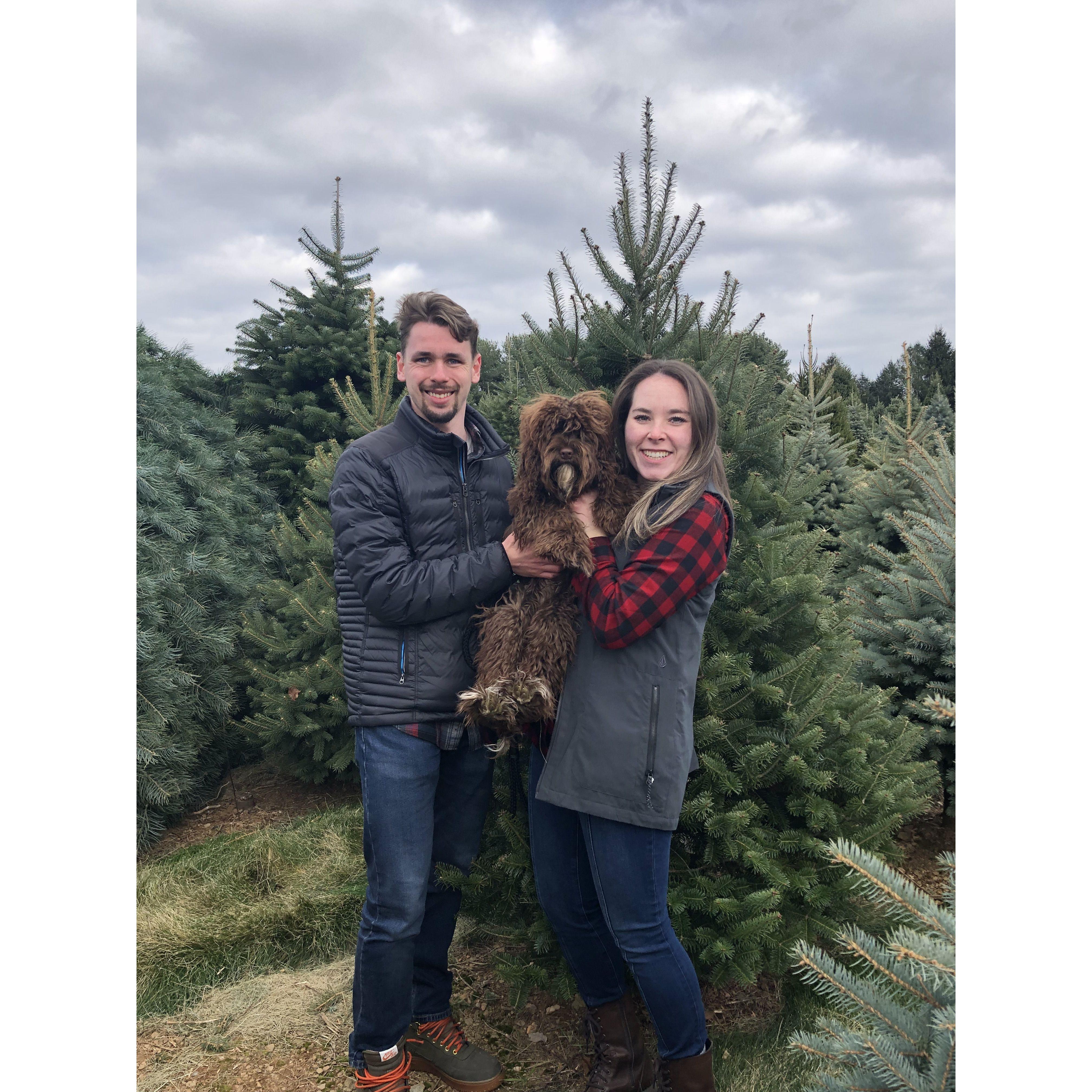 Olivia, Vince, and Honey cutting down their first Christmas tree as a family unit in Pennsylvania in 2021. Honey received her first haircut shortly after this photo was taken