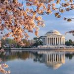 Tidal Basin