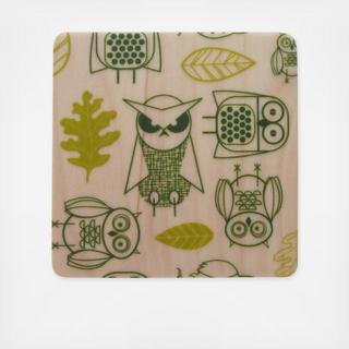 Owls Coaster Set of 4