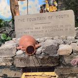 Fountain of Youth