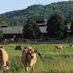 Billings Farm & Museum
