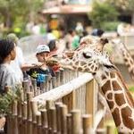 Fort Worth Zoo