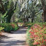 Hampton Park