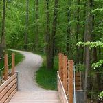 William B. Umstead State Park
