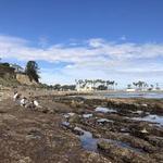 Cabrillo Beach Tide Pools