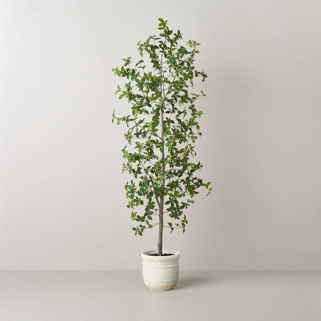 72" Faux Gypsophila Leaf Tree - Hearth & Hand™ with Magnolia