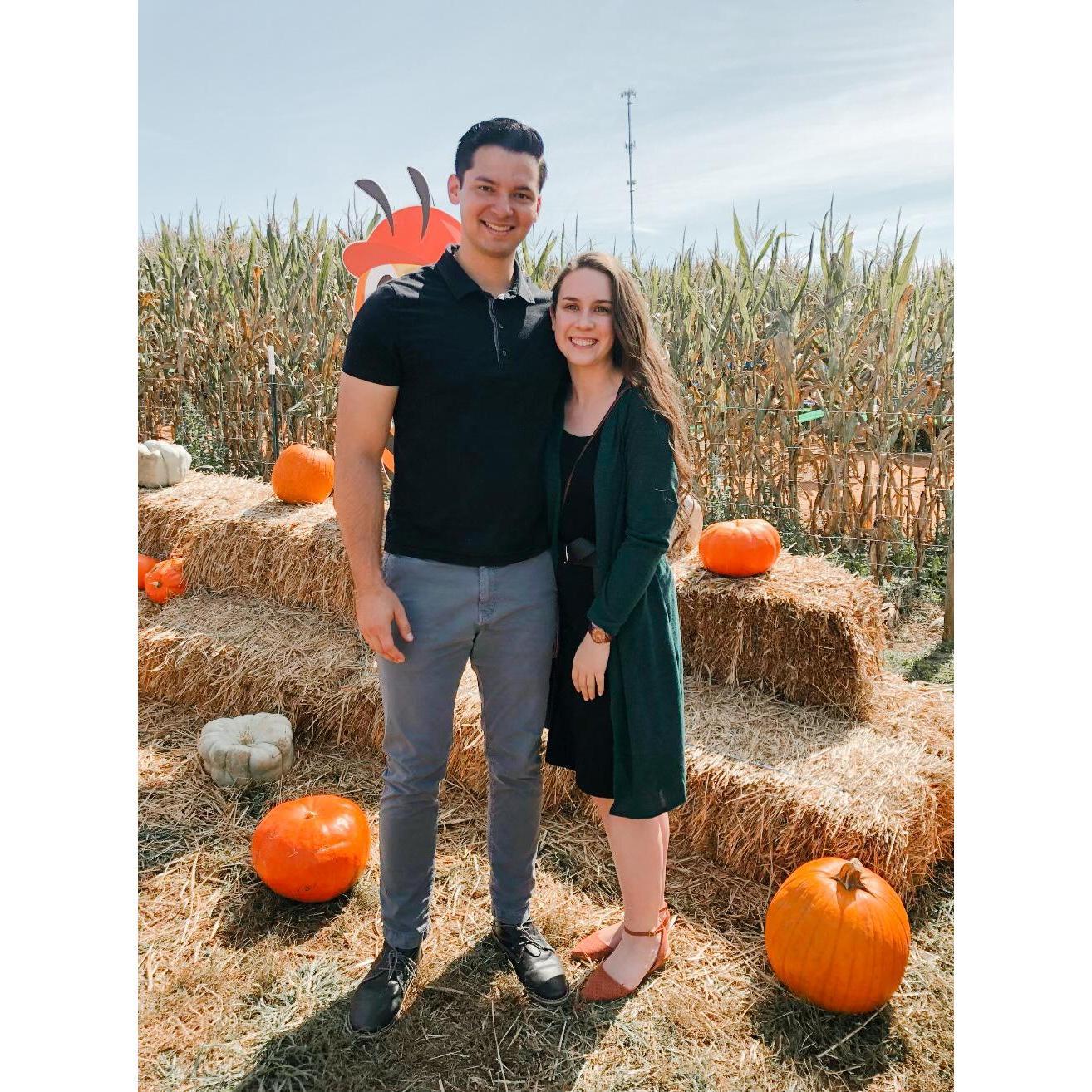 Jaemor Farm: October 2020