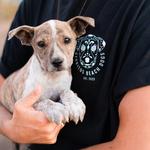Cerritos Beach Dogs Café
