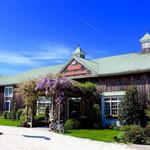 Cape May Winery