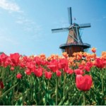 Windmill Island