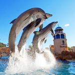 SeaWorld Orlando