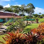 Dole Plantation