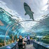 Ripley's Aquarium of Canada