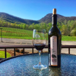 Yonah Mountain Vineyards