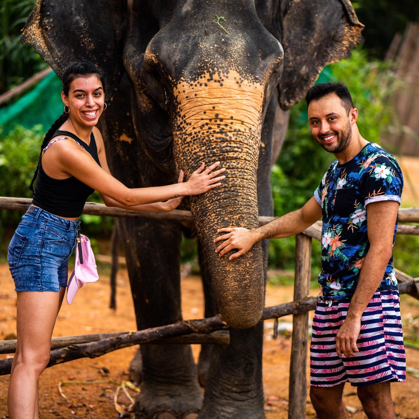 We love traveling the world together! Here we are petting an elephant in Phuket, Thailand