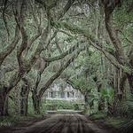 Saint Helena Island