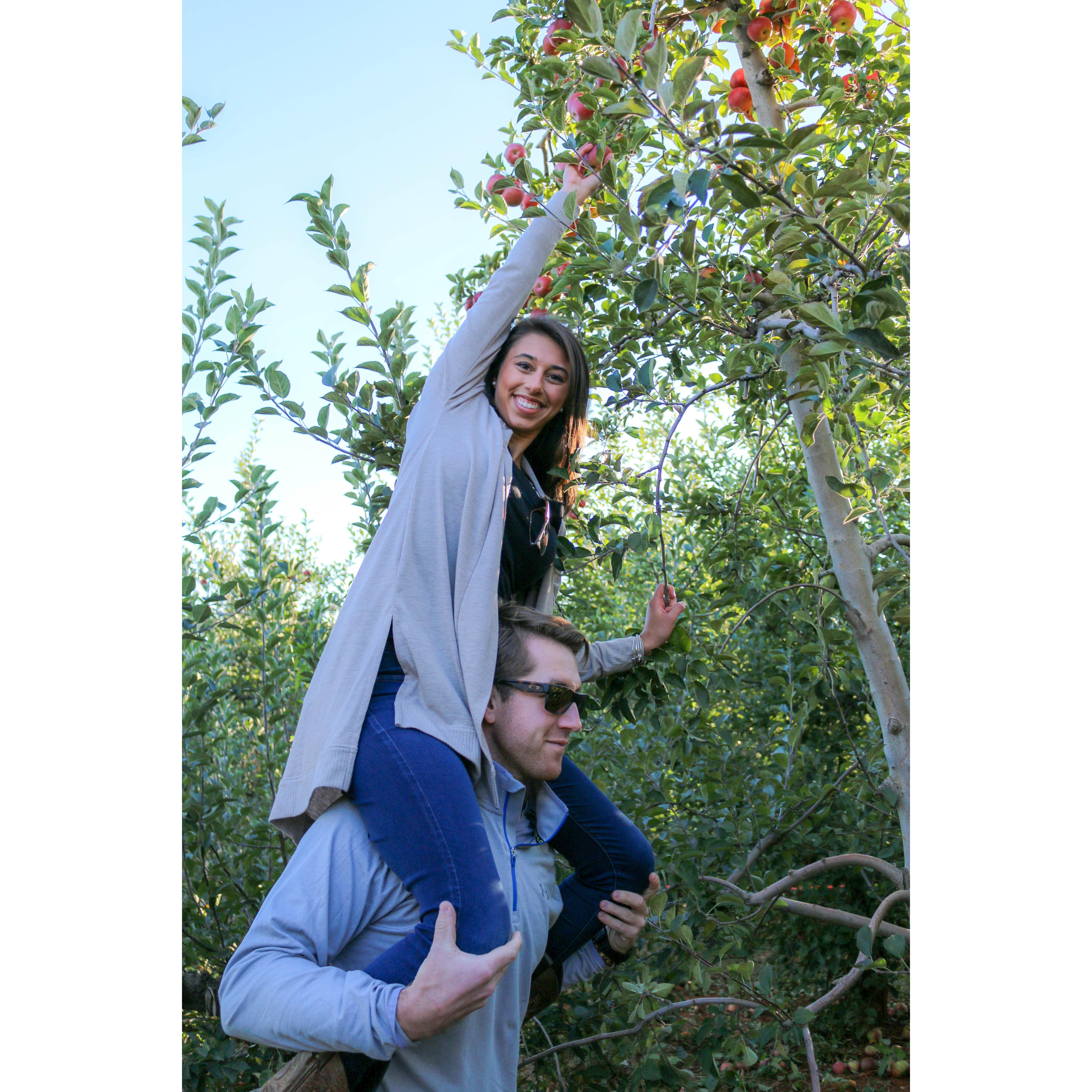 Carter's Mountain orchard fun.