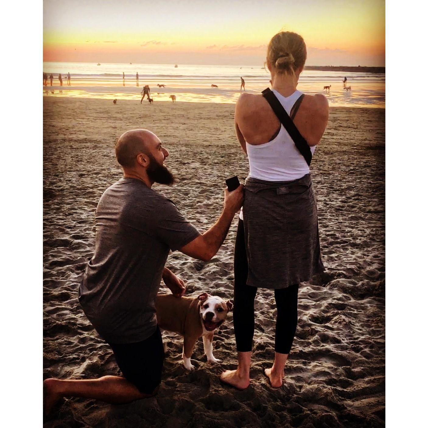 Dog Beach, San Diego, CA