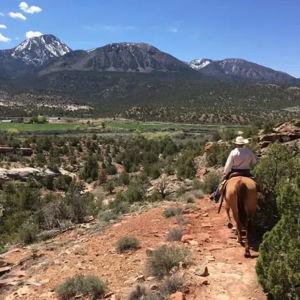 Honeymoon Adventure: Canyon of the Ancients Trail Ride
