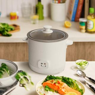 16-Cup Rice Cooker & Steamer