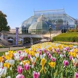 Phipps Conservatory and Botanical Gardens