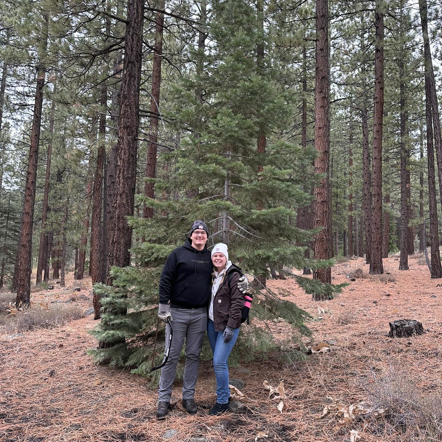Christmas tree hunting