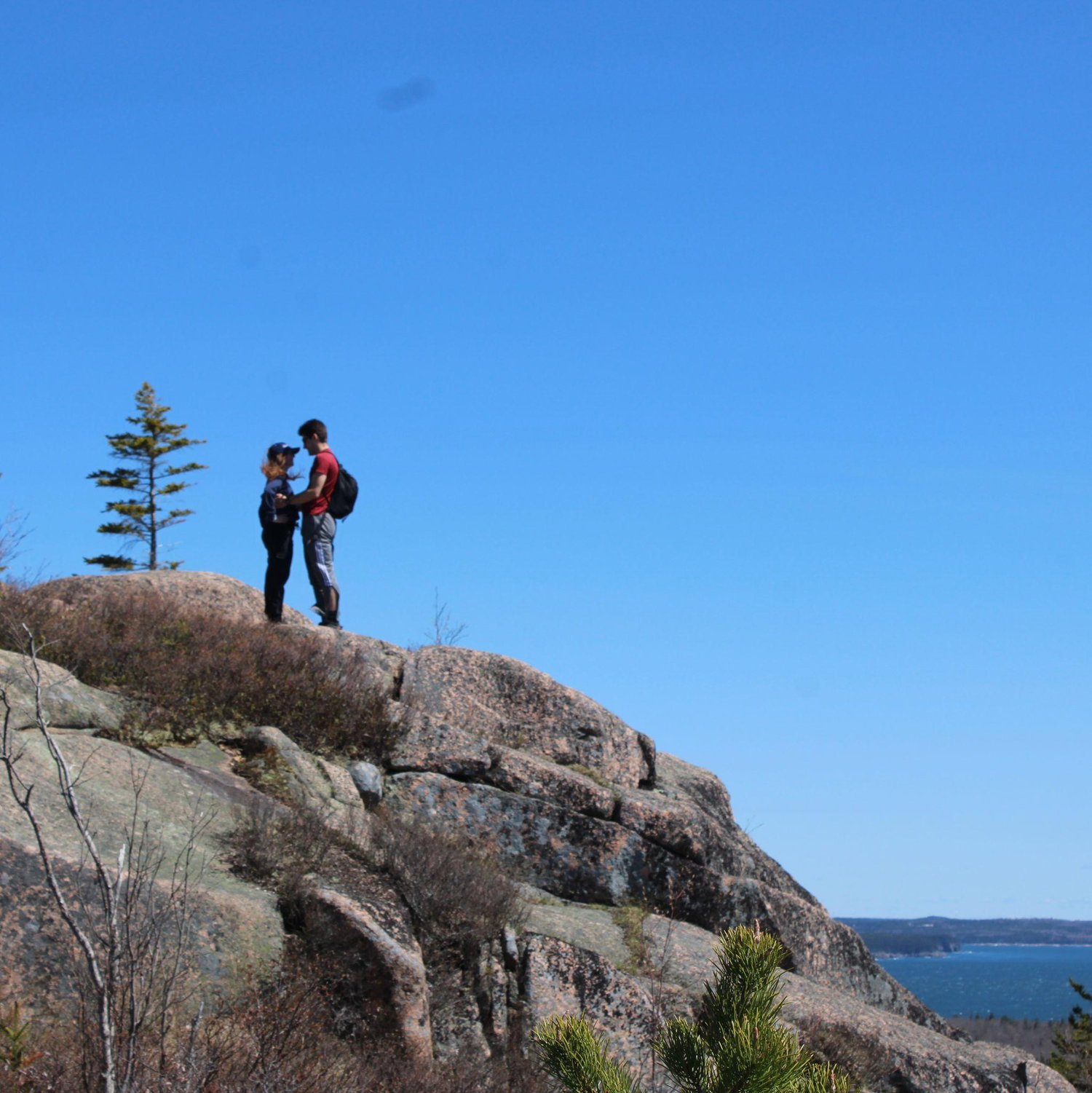 April 29, 2025 - Acadia National Park