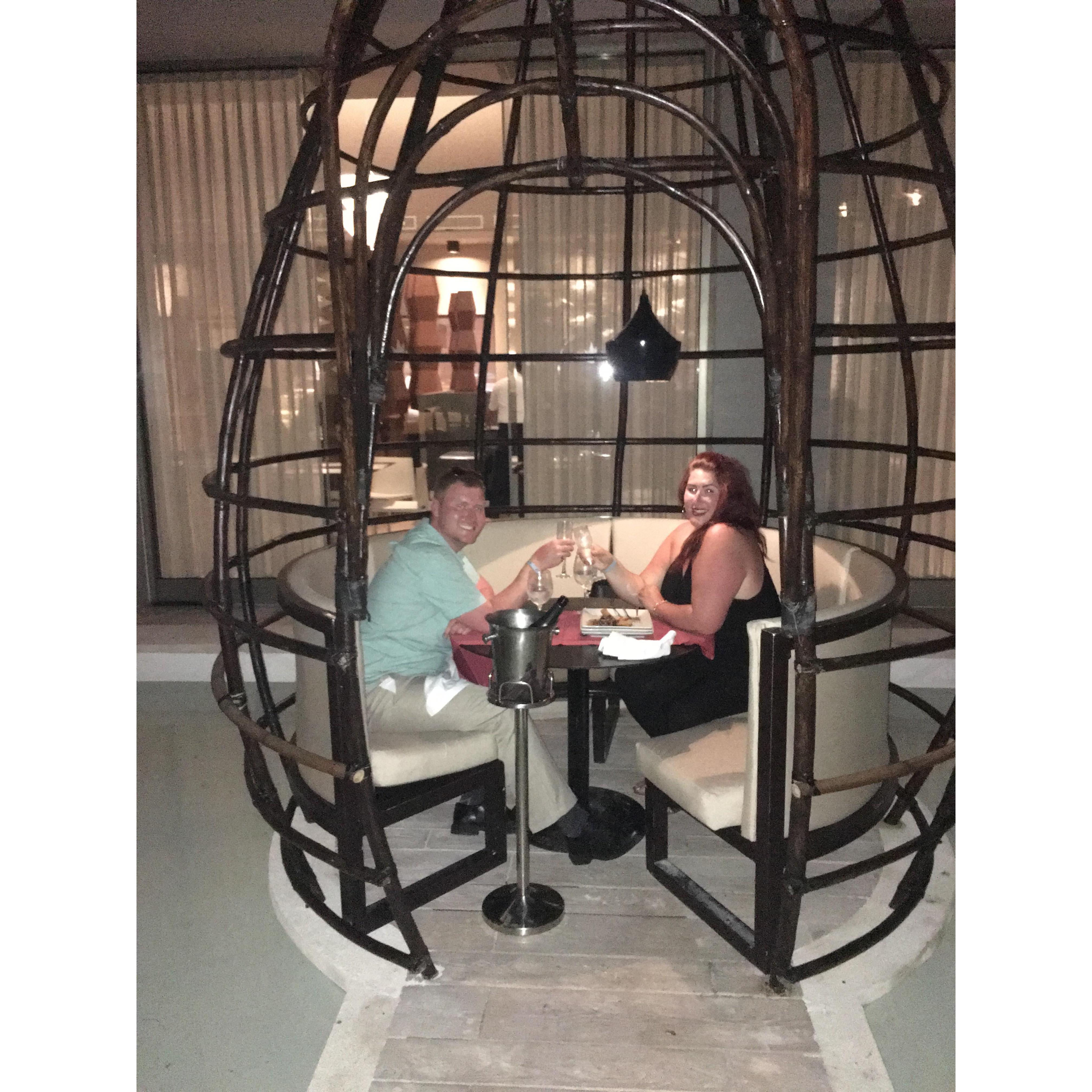 Surprise private dinner in Mexico complete with our fav champagne, 4 course dinner, and of course kitties wandering around our table <3