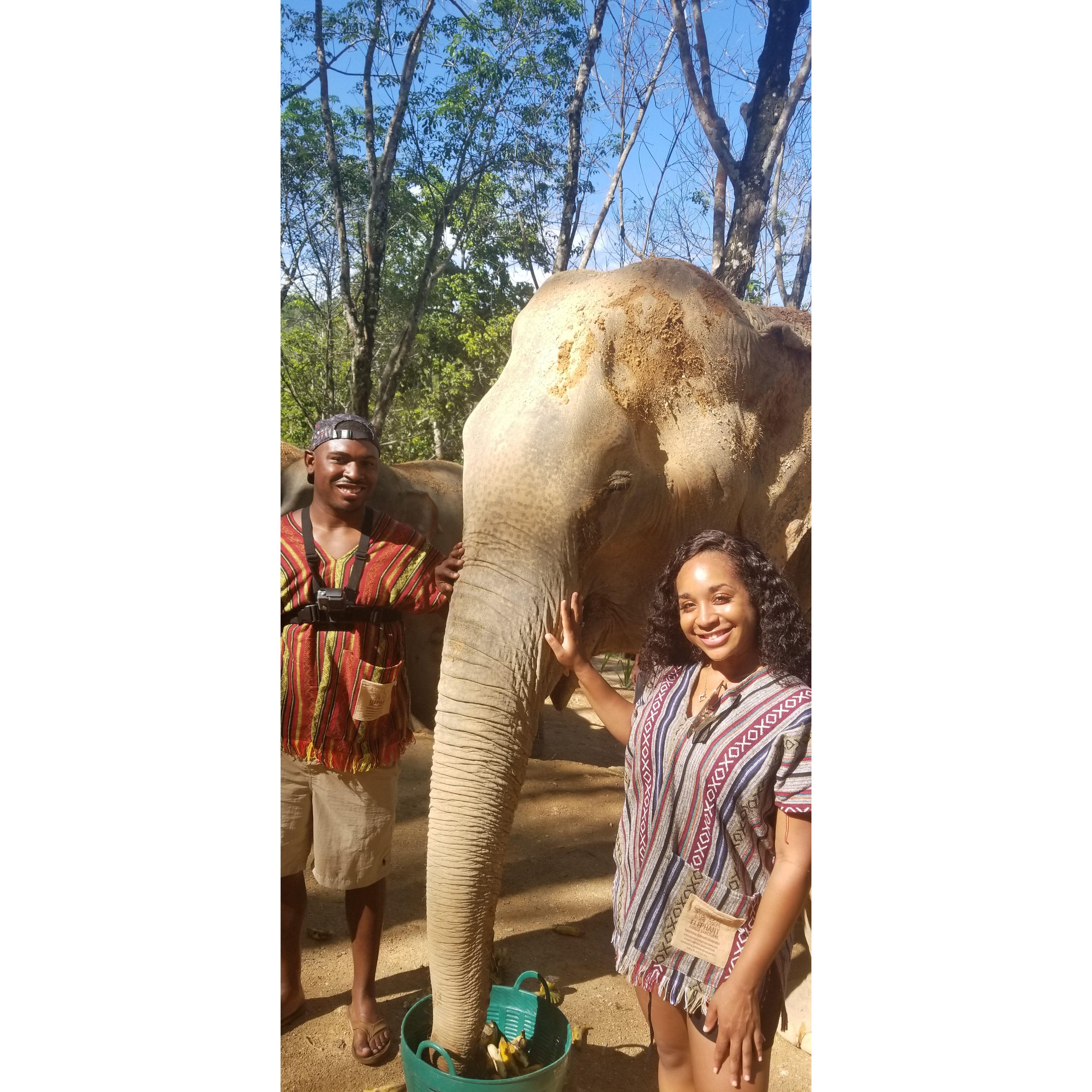In Phuket, Thailand at the Elephant Sanctuary