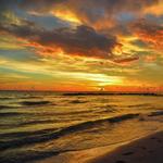 Honeymoon Island