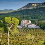 Winery: Château La Roque