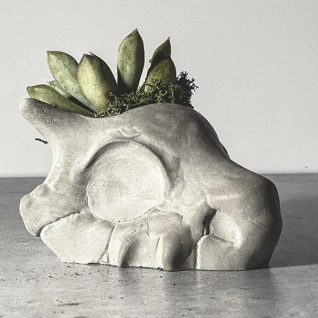 Cubone Planter | Concrete Succulent...