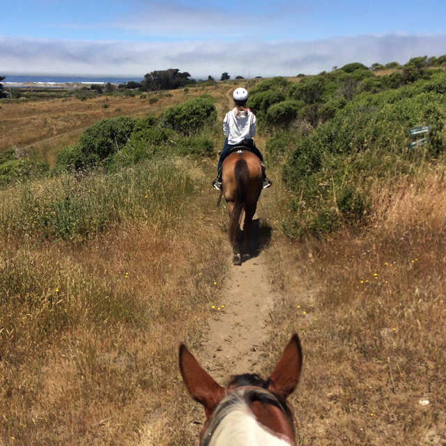 Horseback Riding On Our Honeymoon