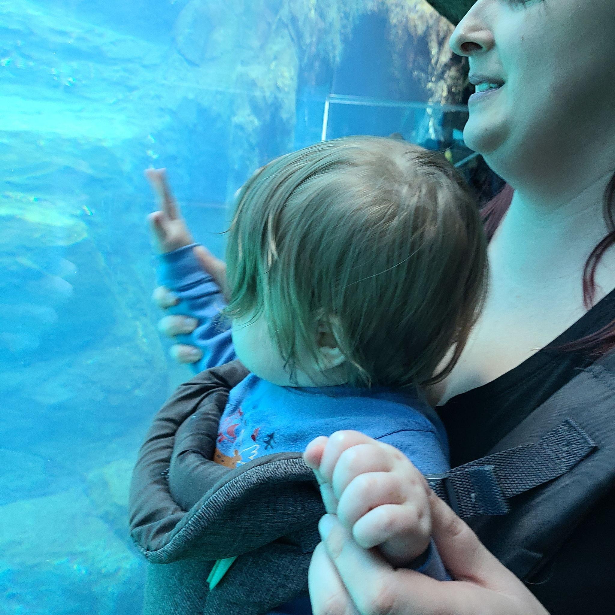 Teaching Peyton about fish