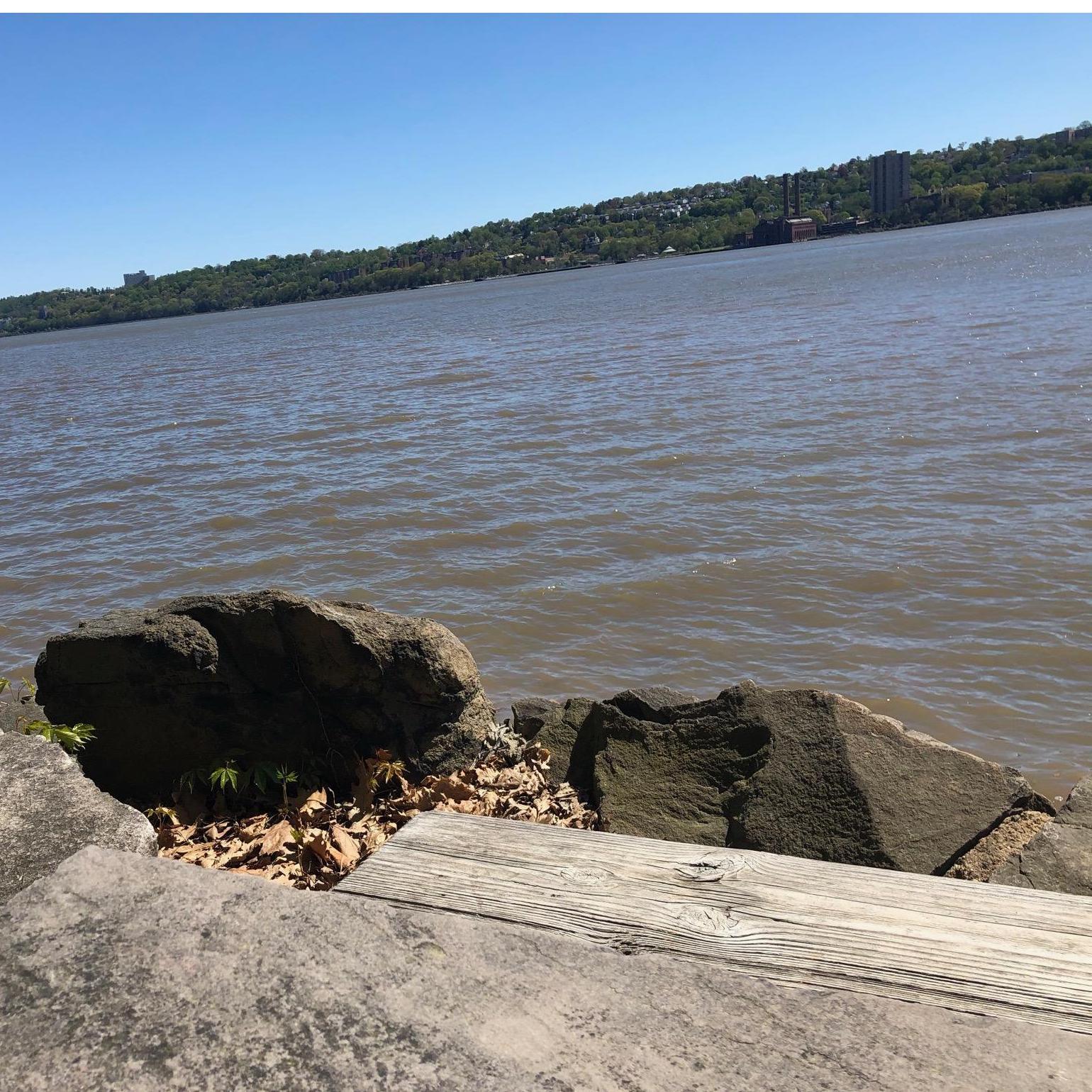 Seconds after I snapped this photo of the Hudson River on a sunny Saturday morning in May, Michael proposed