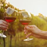 Robller Vineyard & Winery