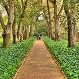 Hopeland Gardens