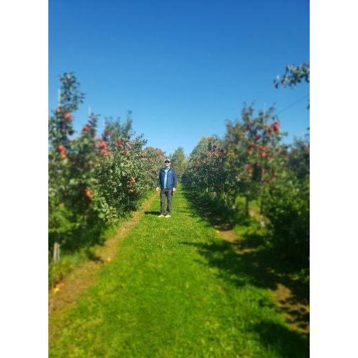 Apple picking fun!